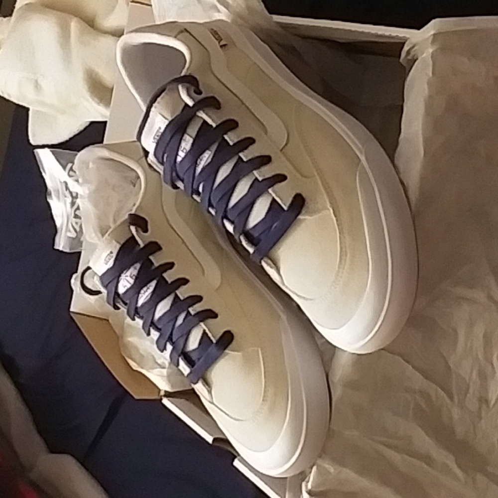 Vans berle pro skateboarding shoes